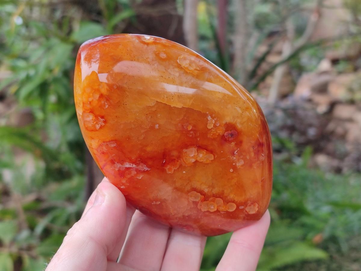 Polished Carnelian Agate Gemstone Flames x 6 From Madagascar - Toprock Gemstones and Minerals 