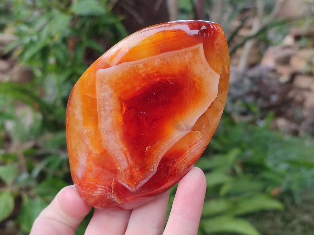 Polished Carnelian Agate Gemstone Flames x 6 From Madagascar - Toprock Gemstones and Minerals 