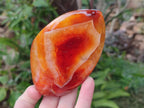 Polished Carnelian Agate Gemstone Flames x 6 From Madagascar - Toprock Gemstones and Minerals 