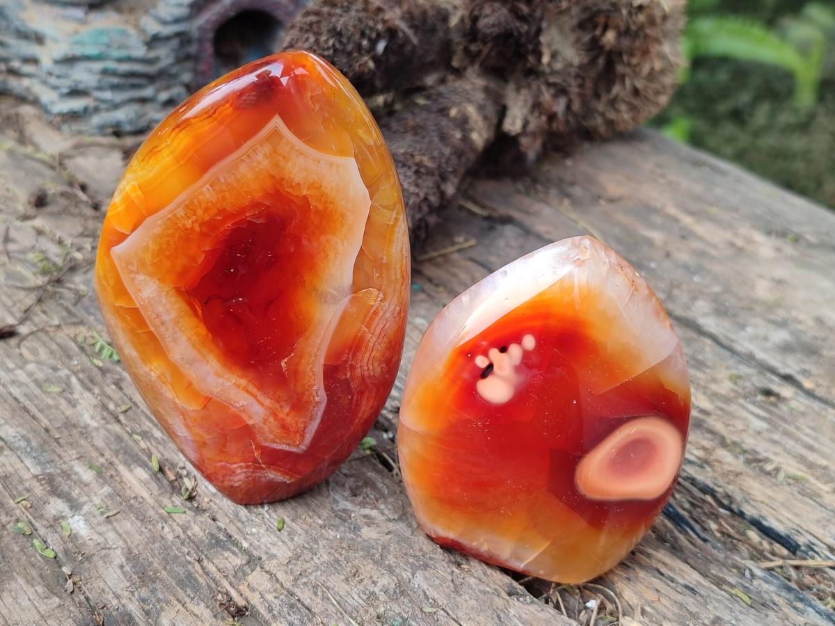 Polished Carnelian Agate Gemstone Flames x 6 From Madagascar - Toprock Gemstones and Minerals 