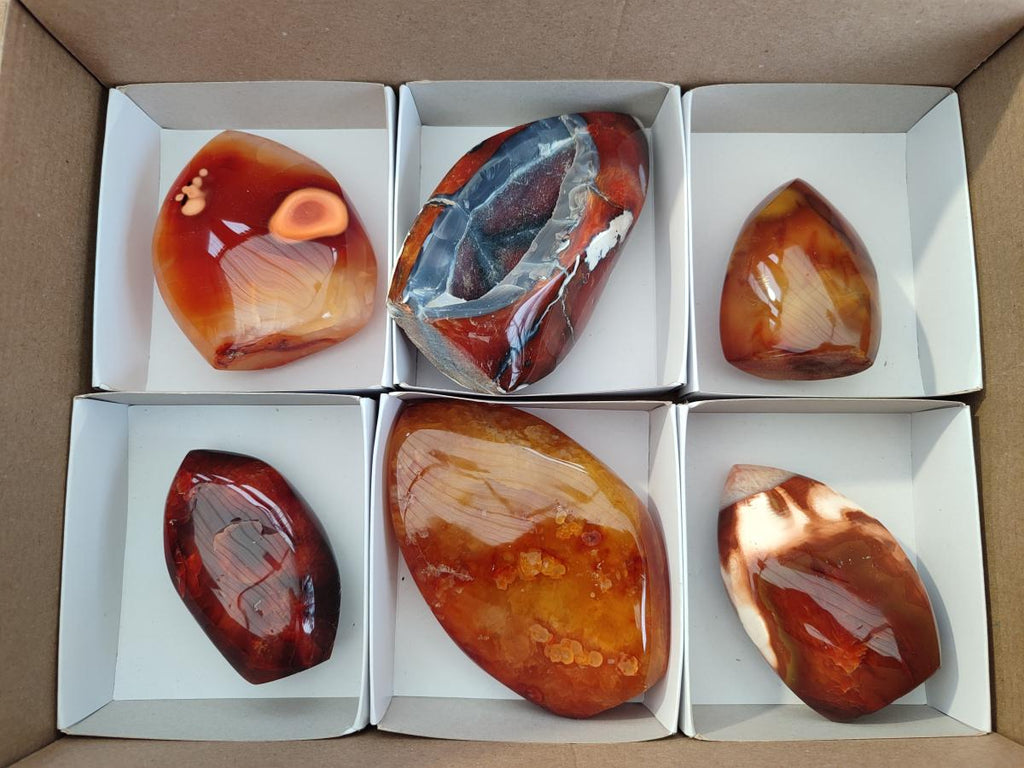 Polished Carnelian Agate Gemstone Flames x 6 From Madagascar - Toprock Gemstones and Minerals 