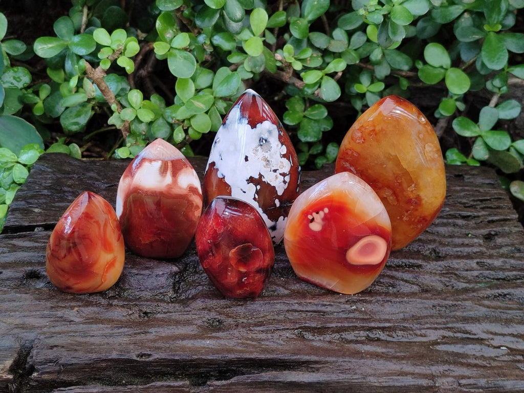 Polished Carnelian Agate Gemstone Flames x 6 From Madagascar - Toprock Gemstones and Minerals 