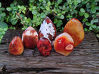Polished Carnelian Agate Gemstone Flames x 6 From Madagascar - Toprock Gemstones and Minerals 