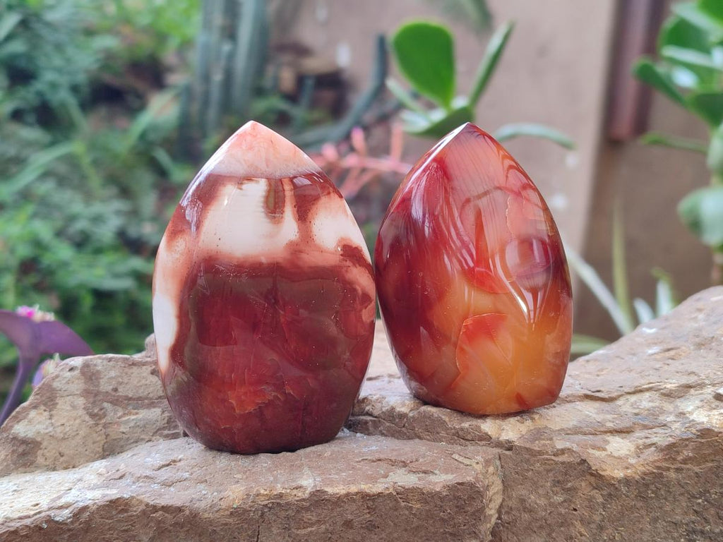 Polished Carnelian Agate Gemstone Flames x 6 From Madagascar - Toprock Gemstones and Minerals 
