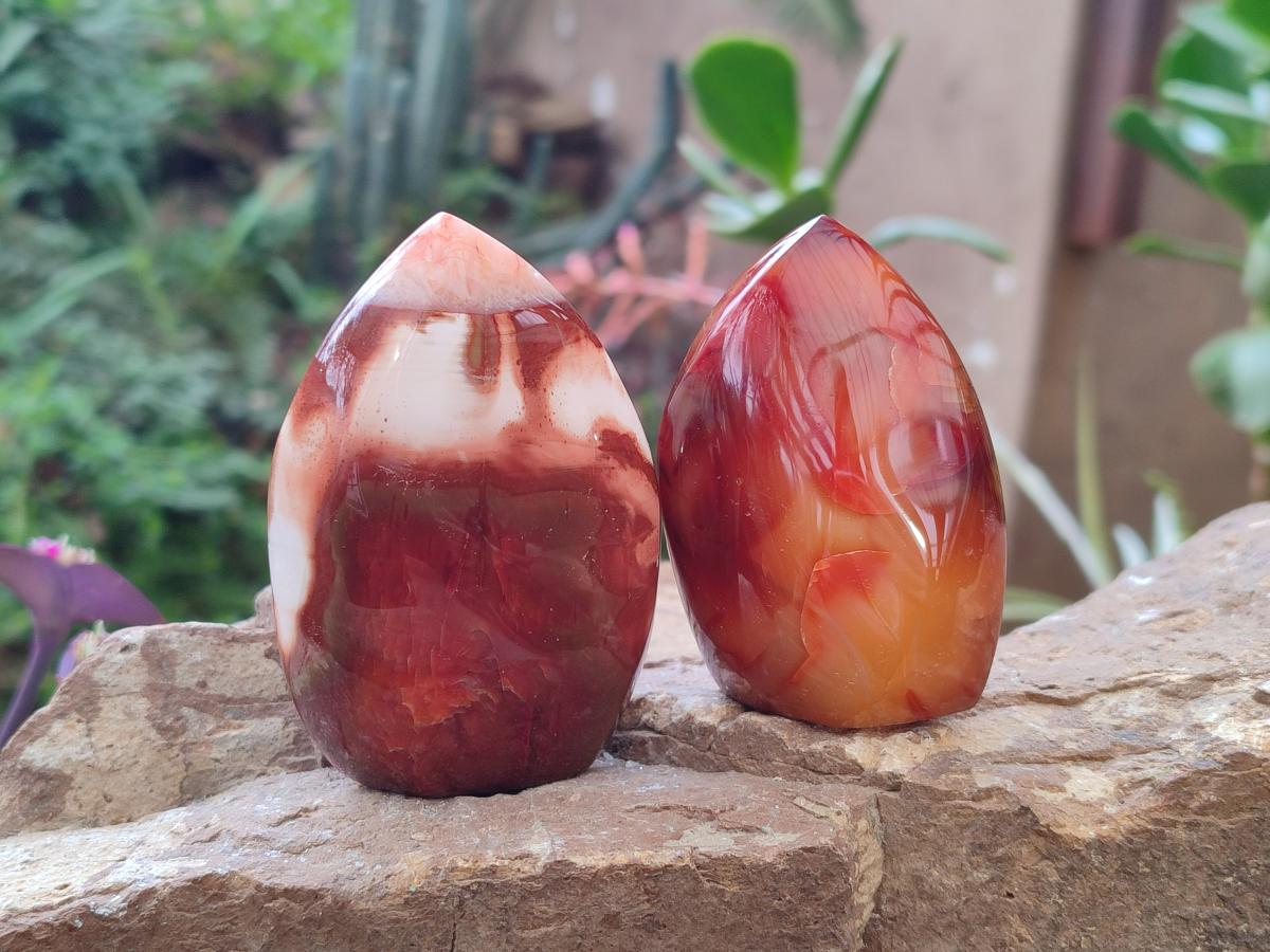Polished Carnelian Agate Gemstone Flames x 6 From Madagascar - Toprock Gemstones and Minerals 