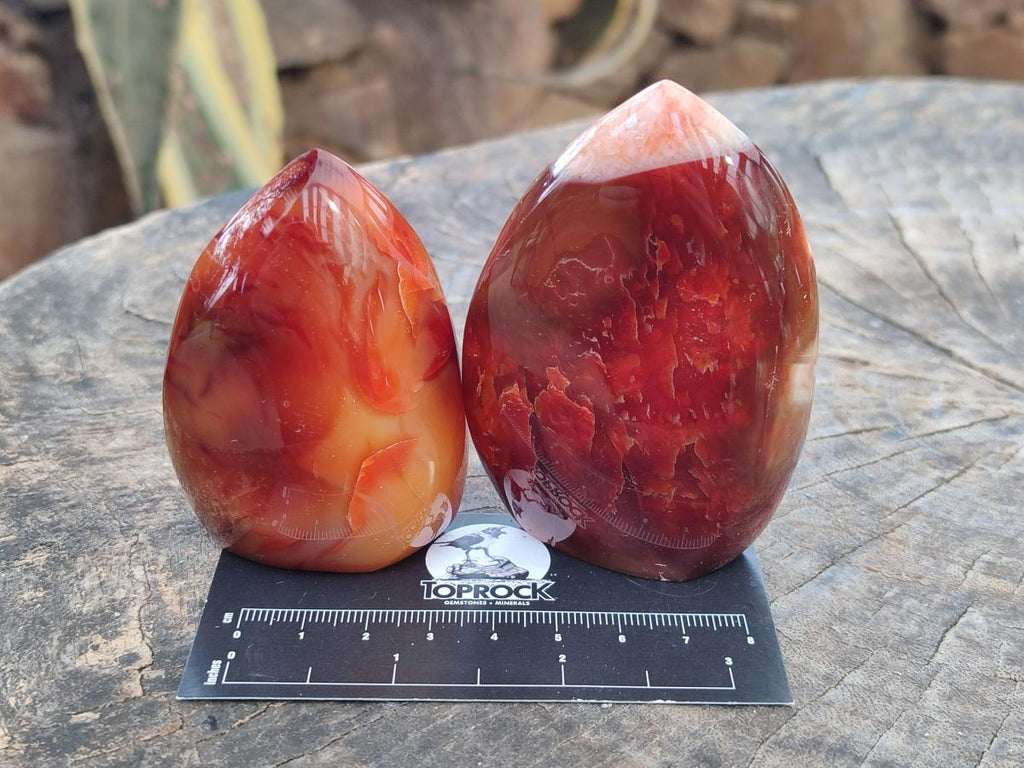 Polished Carnelian Agate Gemstone Flames x 6 From Madagascar - Toprock Gemstones and Minerals 