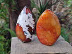 Polished Carnelian Agate Gemstone Flames x 6 From Madagascar - Toprock Gemstones and Minerals 