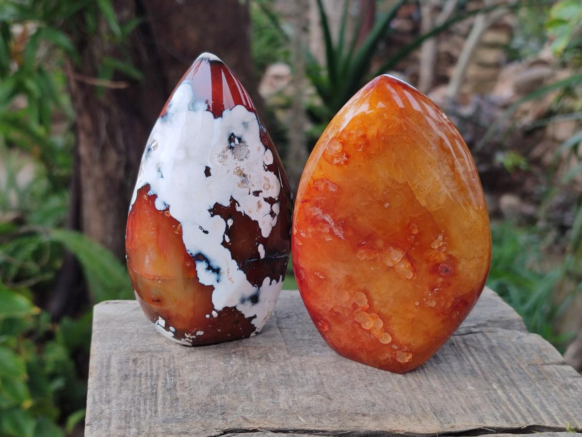Polished Carnelian Agate Gemstone Flames x 6 From Madagascar - Toprock Gemstones and Minerals 