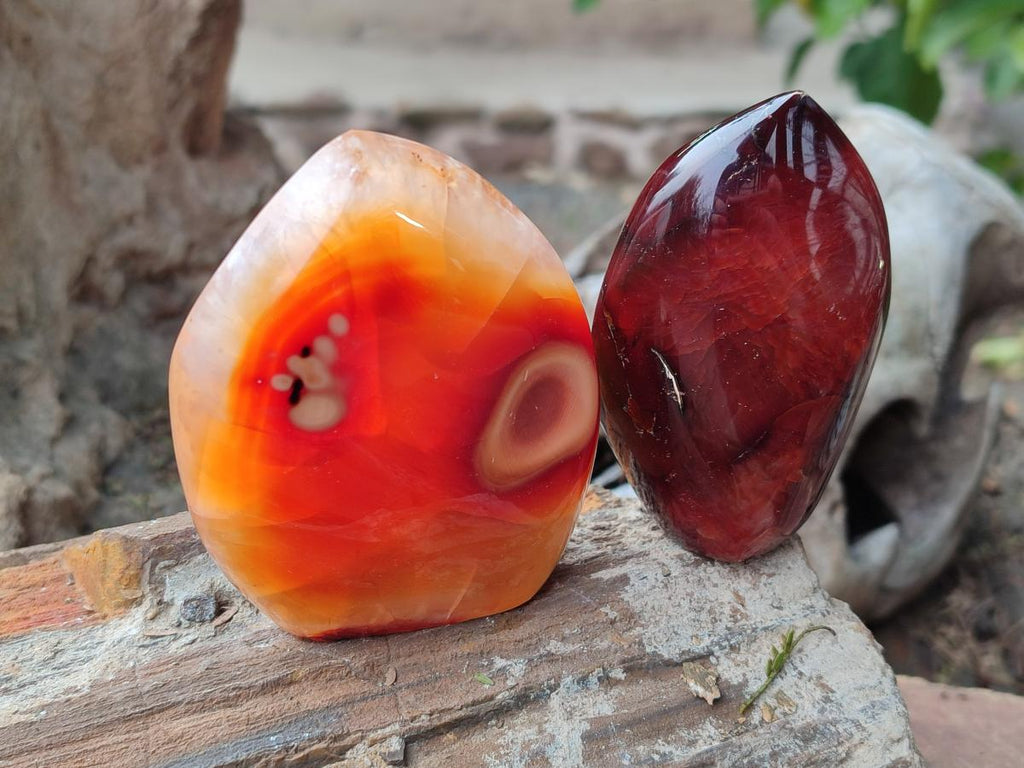 Polished Carnelian Agate Gemstone Flames x 6 From Madagascar - Toprock Gemstones and Minerals 