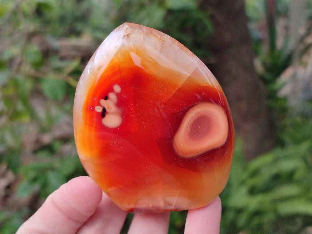 Polished Carnelian Agate Gemstone Flames x 6 From Madagascar - Toprock Gemstones and Minerals 