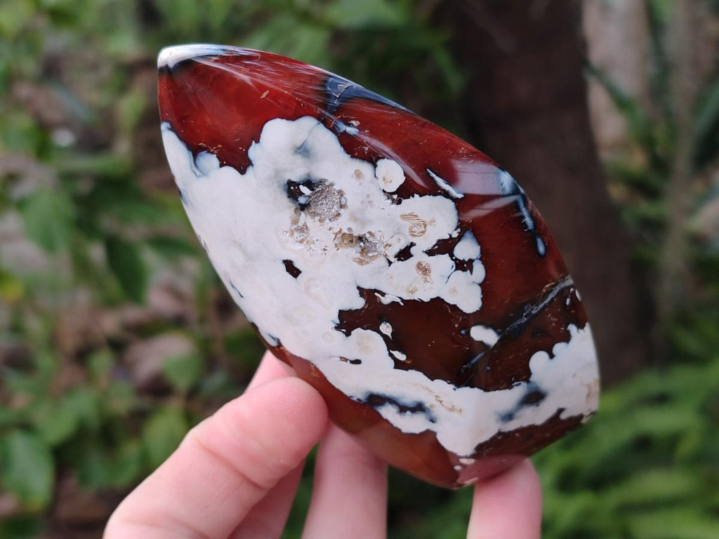 Polished Carnelian Agate Gemstone Flames x 6 From Madagascar - Toprock Gemstones and Minerals 