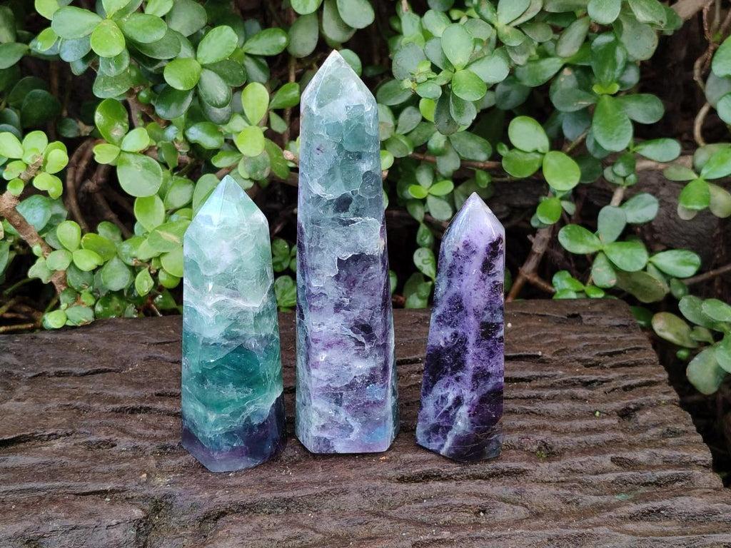Polished Watermelon Fluorite Display Crystals x 3 From Uis, Namibia - Toprock Gemstones and Minerals 