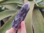 Polished Watermelon Fluorite Display Crystals x 3 From Uis, Namibia - Toprock Gemstones and Minerals 