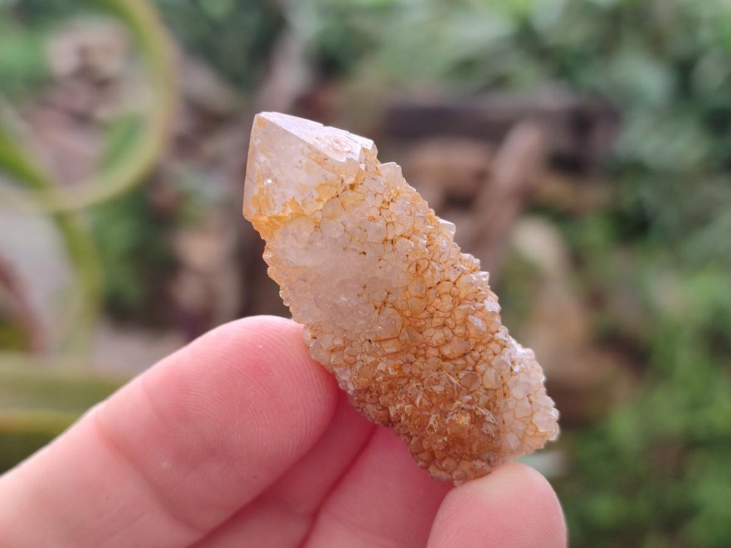 Natural Spirit Quartz Finger Crystals x 70 From Boekenhouthoek, South Africa - Toprock Gemstones and Minerals 