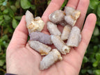 Natural Spirit Quartz Finger Crystals x 70 From Boekenhouthoek, South Africa - Toprock Gemstones and Minerals 