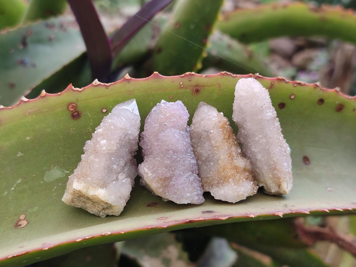Natural Spirit Quartz Finger Crystals x 70 From Boekenhouthoek, South Africa - Toprock Gemstones and Minerals 