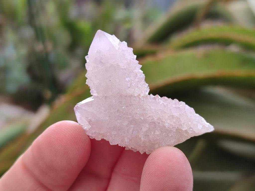 Natural Spirit Quartz Finger Crystals x 70 From Boekenhouthoek, South Africa - Toprock Gemstones and Minerals 