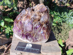Polished XL Cascading Window Amethyst Cluster x 1 From Akansobe, Madagascar - Toprock Gemstones and Minerals 