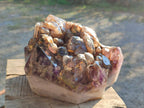 Polished XL Cascading Window Amethyst Cluster x 1 From Akansobe, Madagascar - Toprock Gemstones and Minerals 
