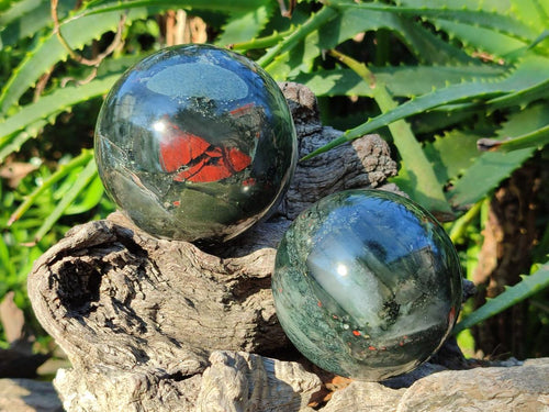 Polished Bloodstone Spheres x 3 From Swaziland - Toprock Gemstones and Minerals 