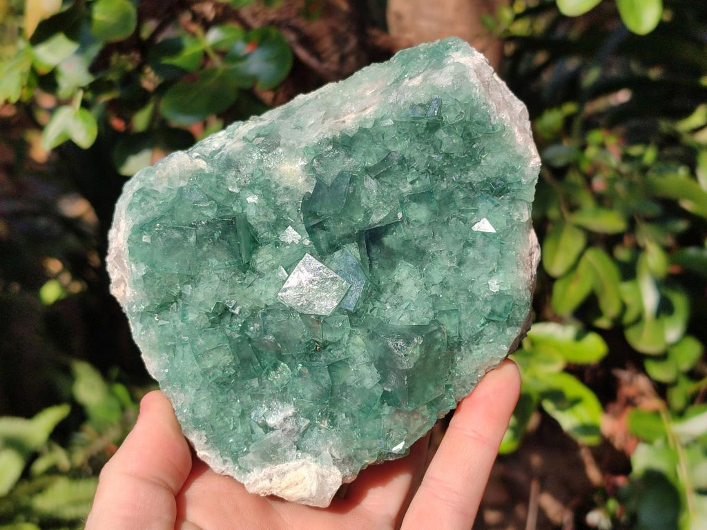 Natural Green Cubic Fluorite Specimens x 2 From Mandrosonoro, Madagascar - Toprock Gemstones and Minerals 