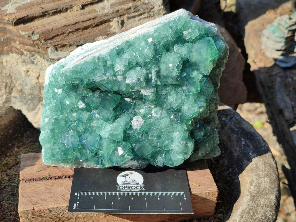 Natural Green Cubic Fluorite Specimens x 2 From Mandrosonoro, Madagascar - Toprock Gemstones and Minerals 
