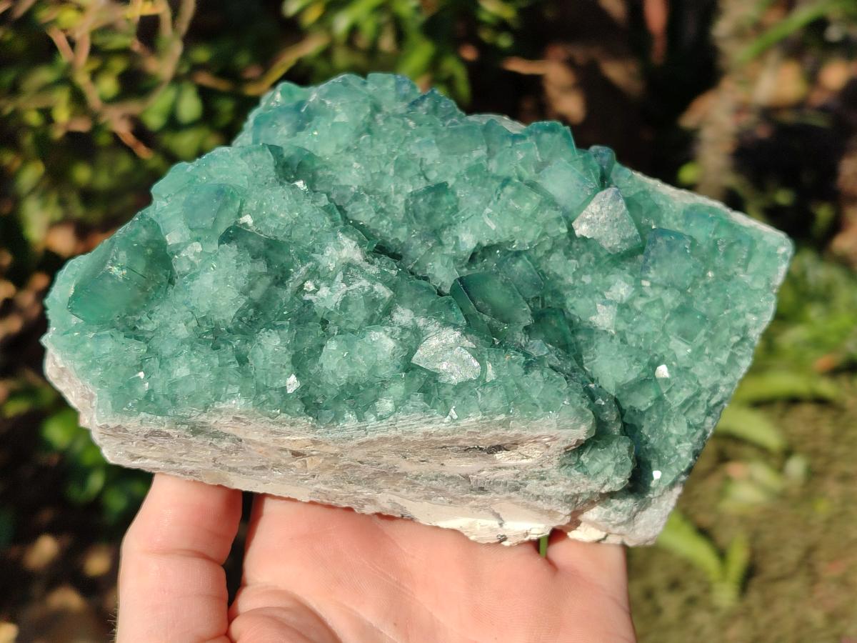 Natural Green Cubic Fluorite Specimens x 2 From Mandrosonoro, Madagascar - Toprock Gemstones and Minerals 