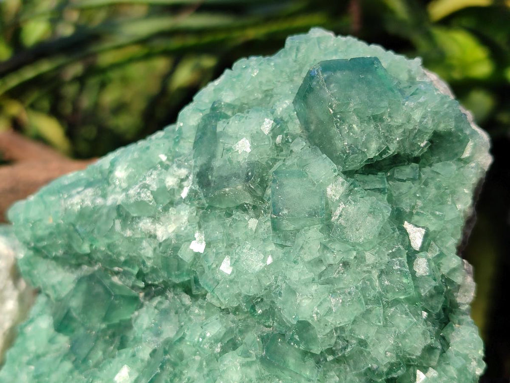 Natural Green Cubic Fluorite Specimens x 2 From Mandrosonoro, Madagascar - Toprock Gemstones and Minerals 