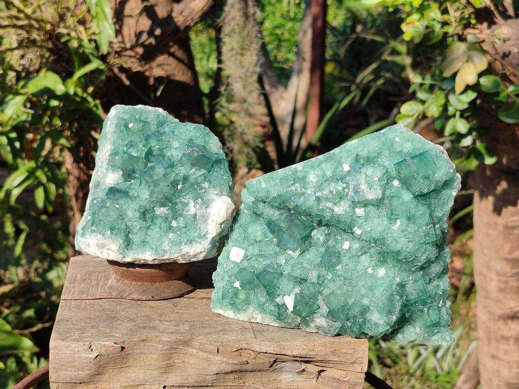 Natural Green Cubic Fluorite Specimens x 2 From Mandrosonoro, Madagascar - Toprock Gemstones and Minerals 