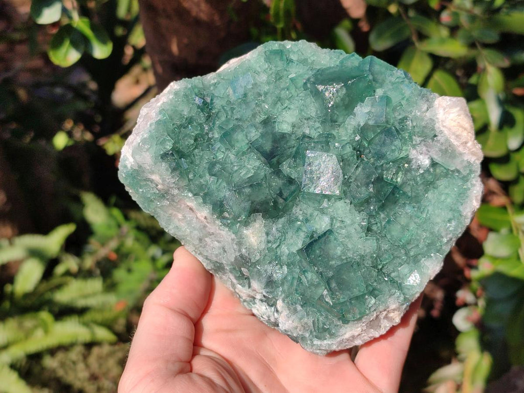 Natural Green Cubic Fluorite Specimens x 2 From Mandrosonoro, Madagascar - Toprock Gemstones and Minerals 