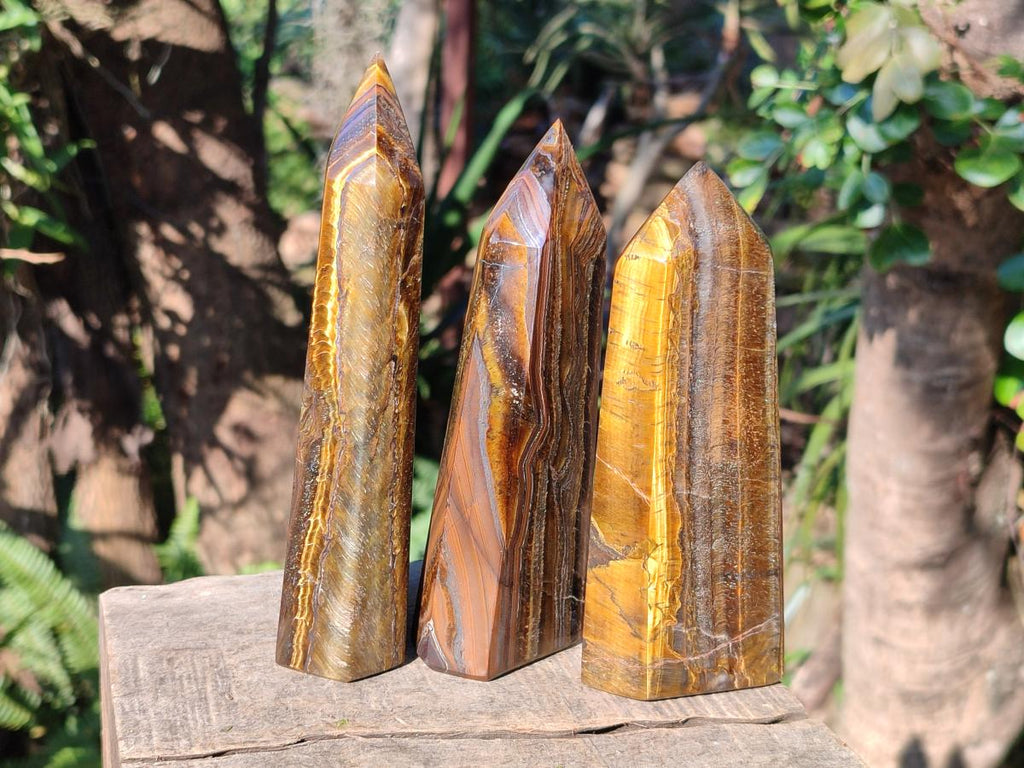 Polished Golden Tigers Eye Display Crystals x 3 From Prieska, South Africa - Toprock Gemstones and Minerals 