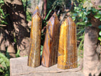 Polished Golden Tigers Eye Display Crystals x 3 From Prieska, South Africa - Toprock Gemstones and Minerals 