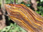 Polished Golden Tigers Eye Display Crystals x 3 From Prieska, South Africa - Toprock Gemstones and Minerals 