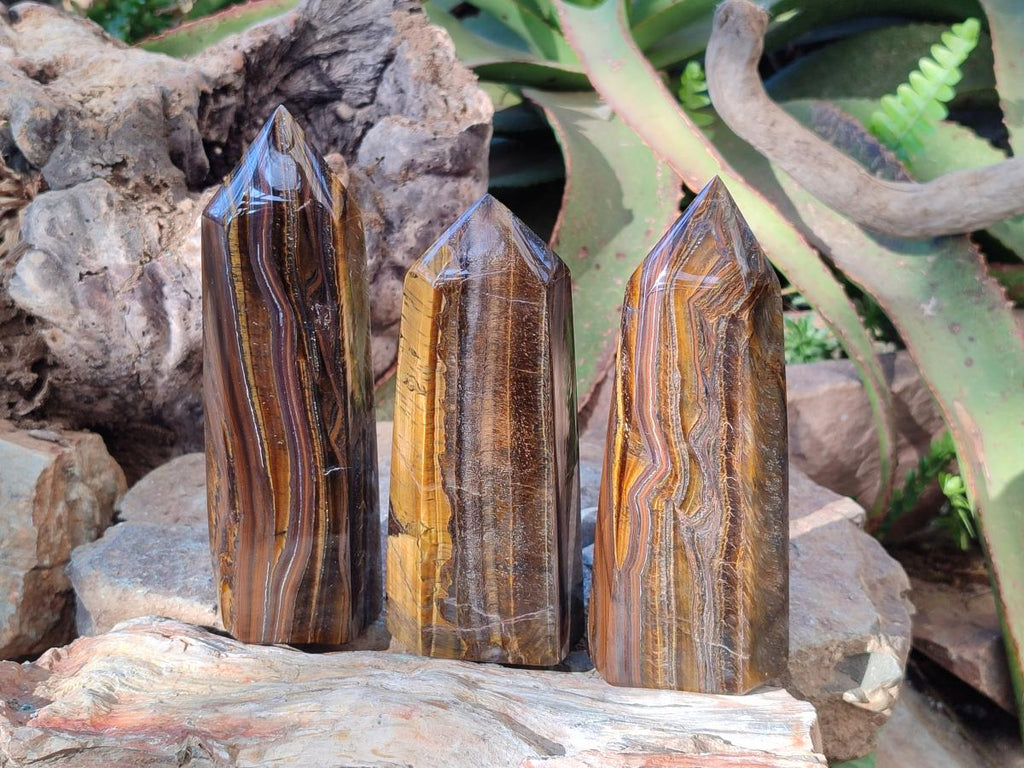 Polished Golden Tigers Eye Display Crystals x 3 From Prieska, South Africa - Toprock Gemstones and Minerals 