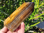 Polished Golden Tigers Eye Display Crystals x 3 From Prieska, South Africa - Toprock Gemstones and Minerals 