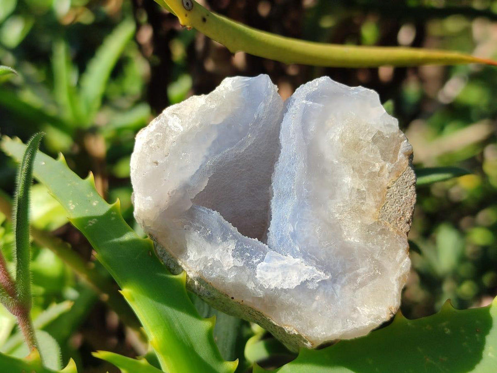 Polished On One Side Blue Lace Agate Geodes x 35 From Nsanje, Malawi - Toprock Gemstones and Minerals 