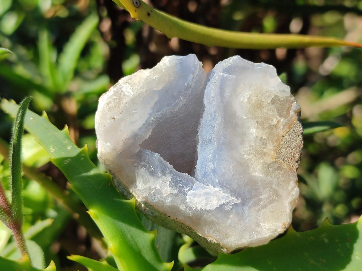 Polished On One Side Blue Lace Agate Geodes x 35 From Nsanje, Malawi - Toprock Gemstones and Minerals 