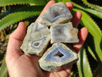 Polished On One Side Blue Lace Agate Geodes x 35 From Nsanje, Malawi - Toprock Gemstones and Minerals 