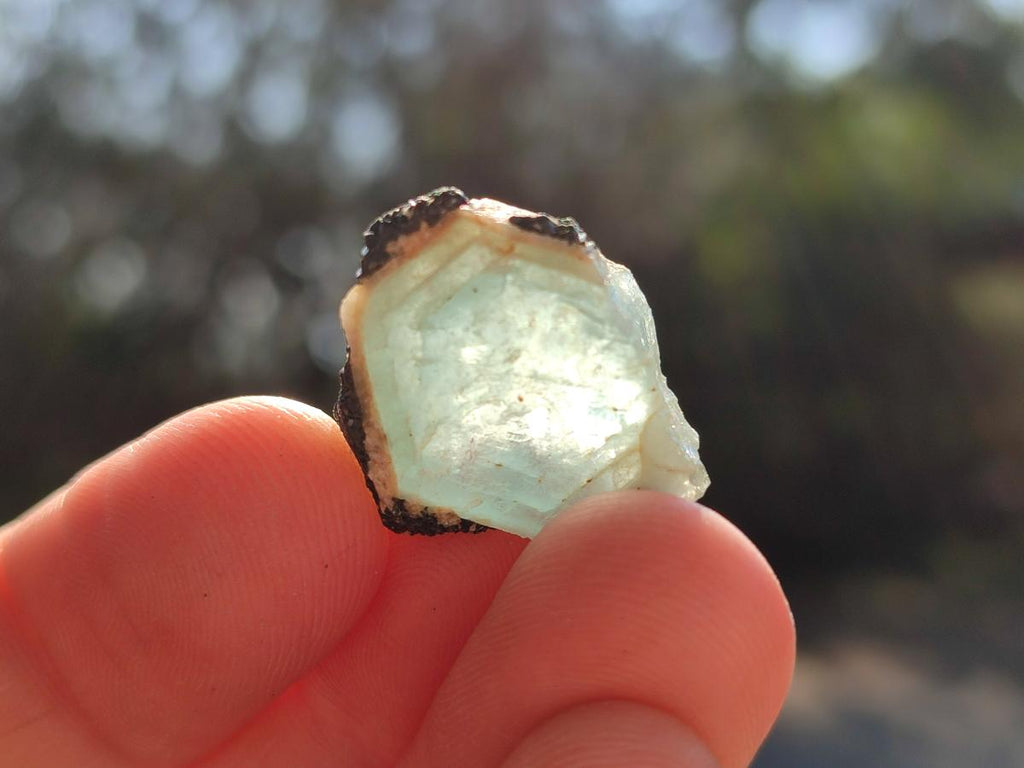 Natural Small Rare Aquamarine in Black Tourmaline Specimens x 267 From Karibib, Namibia - Toprock Gemstones and Minerals 