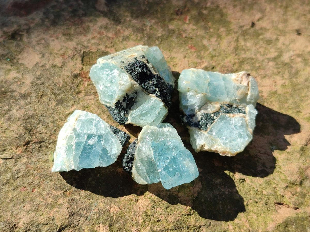 Natural Small Rare Aquamarine in Black Tourmaline Specimens x 267 From Karibib, Namibia - Toprock Gemstones and Minerals 