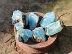 Natural Small Rare Aquamarine in Black Tourmaline Specimens x 267 From Karibib, Namibia - Toprock Gemstones and Minerals 