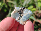 Natural Small Rare Aquamarine in Black Tourmaline Specimens x 267 From Karibib, Namibia - Toprock Gemstones and Minerals 