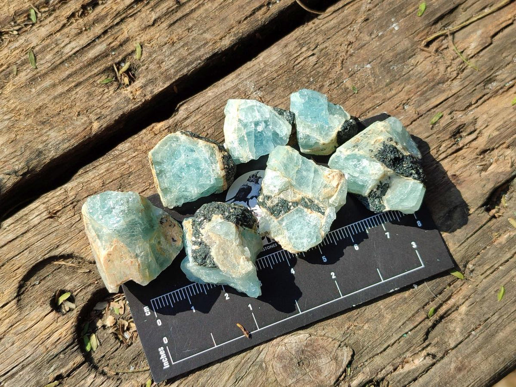 Natural Small Rare Aquamarine in Black Tourmaline Specimens x 267 From Karibib, Namibia - Toprock Gemstones and Minerals 