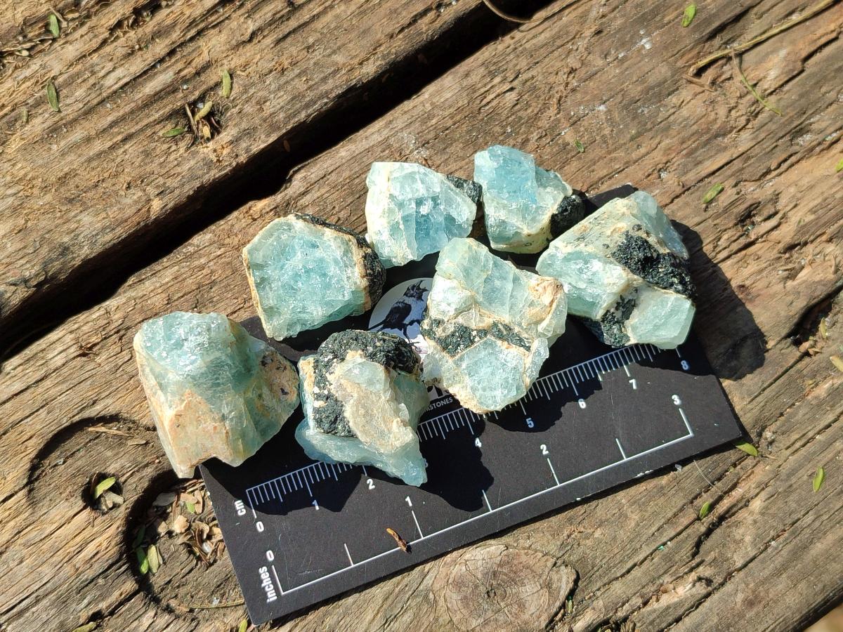 Natural Small Rare Aquamarine in Black Tourmaline Specimens x 267 From Karibib, Namibia - Toprock Gemstones and Minerals 