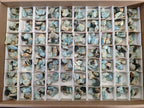 Natural Small Rare Aquamarine in Black Tourmaline Specimens x 267 From Karibib, Namibia - Toprock Gemstones and Minerals 