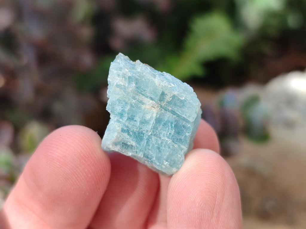 Natural Small Rare Aquamarine in Black Tourmaline Specimens x 267 From Karibib, Namibia - Toprock Gemstones and Minerals 
