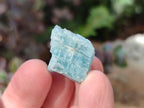 Natural Small Rare Aquamarine in Black Tourmaline Specimens x 267 From Karibib, Namibia - Toprock Gemstones and Minerals 
