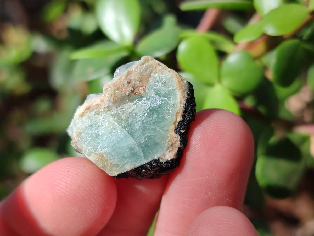 Natural Small Rare Aquamarine in Black Tourmaline Specimens x 267 From Karibib, Namibia - Toprock Gemstones and Minerals 