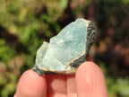 Natural Small Rare Aquamarine in Black Tourmaline Specimens x 267 From Karibib, Namibia - Toprock Gemstones and Minerals 