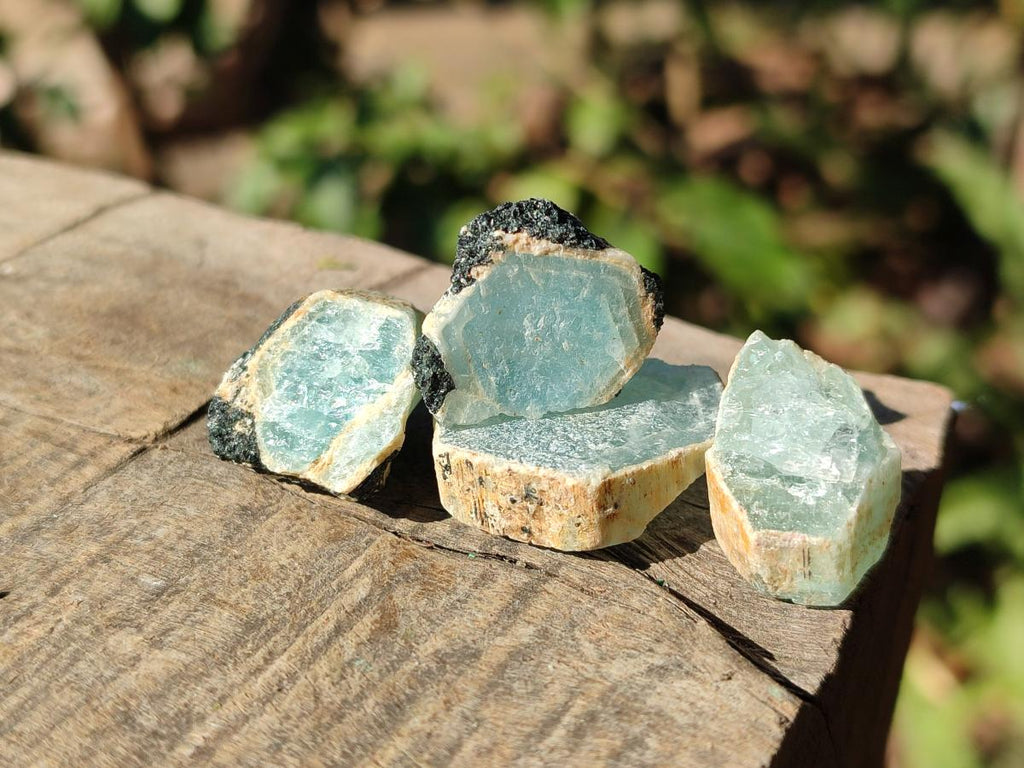 Natural Small Rare Aquamarine in Black Tourmaline Specimens x 267 From Karibib, Namibia - Toprock Gemstones and Minerals 
